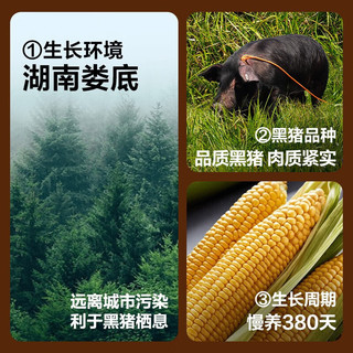 YANXUAN 网易严选 火山石烤肠 任选4盒