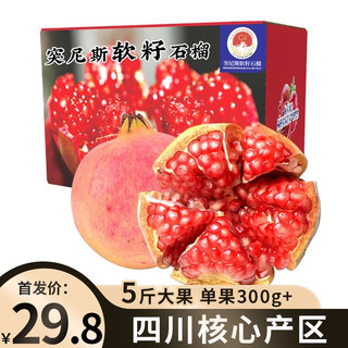 优仙果 突尼斯软籽石榴 新鲜水果生鲜礼盒 4.5斤精选中大果 单果300g+