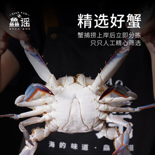 鱻谣 当季鲜活梭子蟹3斤 单只7两以上 100%鲜活发出 去绳足重海螃蟹保鲜不保活