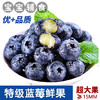 斯可沁蓝莓15mm+大果装8盒 每盒约125g 新鲜生鲜水果孕妇宝宝可食用