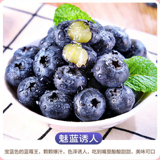 斯可沁蓝莓15mm+大果装8盒 每盒约125g 新鲜生鲜水果孕妇宝宝可食用