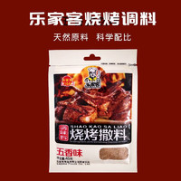 红允乐家客烧烤撒料五香味麻辣味烧烤料45g烧烤调料烤肉调味料 五香味