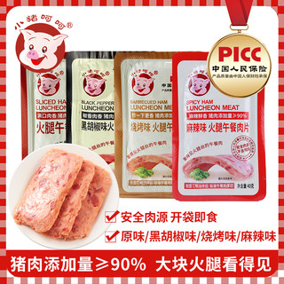 小猪呵呵 火腿午餐肉片泡面螺蛳粉火锅烧烤味片装早餐方便开袋即食