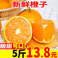甜蜜有礼 高山夏橙新鲜采摘橙子礼盒当季彩整箱 5斤 （27个左右）超值装