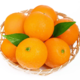 表伯 赣南夏橙 含箱5斤单果约120-150g