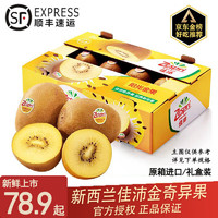 Zespri 佳沛 奇异果金果新西兰奇异果进口装黄心猕猴桃水果 10粒 巨无霸果 13