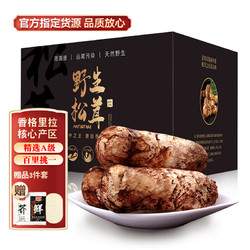 华田禾邦 香格里拉新鲜松茸（出口级精选礼盒 长度5-7CM）500g 云南菌菇