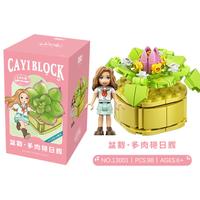 开益 小花农系列 13001 多肉艳日辉