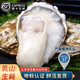蛎大哥  乳山生蚝  牡蛎4-5两*5斤