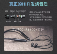 HIFIMAN 海菲曼 BW600 发烧级运动跑步蓝牙耳机