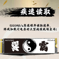 KRYSTAIC 晶太 巽震 XZT5000 NVMe M.2 固态硬盘 2TB（PCI-E4.0）