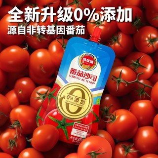 凤球唛 0添加0脂肪番茄沙司番茄酱310g