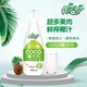 88VIP：椰子泡泡 海南特浓COCO椰子汁1.25L大瓶果肉椰汁鲜榨生椰拿铁饮料