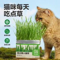 YANXUAN 网易严选 猫草无土盆栽 25g*3包