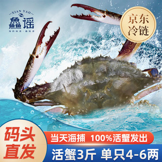 XIAN YAO 鱻谣 8月海捕梭子蟹3斤/4-6只 单只5-7两