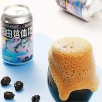 道酿 自由落体--烟熏乌梅/海盐柚子/哈密瓜/荔枝古斯 国产精酿啤酒