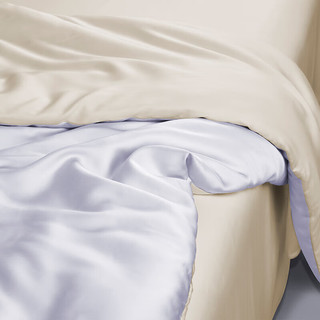 DAPU 大朴 致美60支兰精天丝缎纹四件套A类床单被套木槿紫 1.5米床