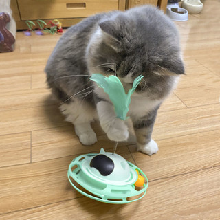 逗猫棒猫玩具自嗨解闷猫猫不倒翁转盘小猫宠物猫玩的猫咪用品大全
