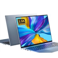 京东百亿补贴：DERE 戴睿 幻影GT 16英寸笔记本电脑（i9-11900H、16GB、512GB、2.5K）