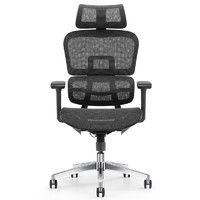 PLUS会员：Ergojust 爱高佳 R9 人体工学电脑椅 黑色 无脚托款