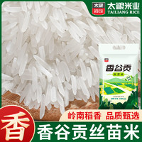 太粮 香谷贡丝苗米南方长粒香米10斤南方油粘米软米家用煲仔饭米
