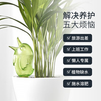 Scheurich 虹越小鸟自动滴水器懒人自动浇花神器植物盆栽家用网红自动浇水器