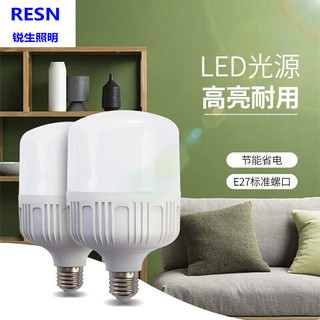 RESN LIGHTING 锐生照明 10W-螺口超亮1只