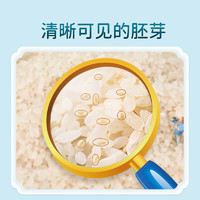 米小芽 米面组合 宝宝儿童辅食有机胚芽粥米面条 胚芽米450g/袋
