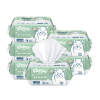 Kleenex 舒洁 植物双萃湿厕纸100抽*6包（600抽） 洁厕湿纸巾私处清洁 擦去细菌