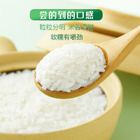 十月稻田 长粒香大米 25kg 东北大米家庭装 香米 粳米 50斤