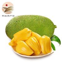 静益乐源菠萝蜜 海南黄肉菠萝蜜 新鲜热带水果 一个装15-20斤