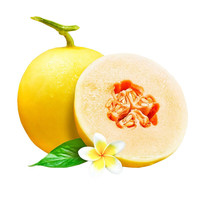 静益乐源 甘肃民勤黄金蜜瓜 净重4-5斤大果