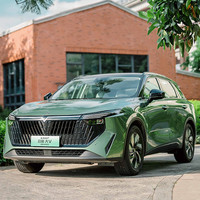 VENUCIA 启辰 大V DD-i超混动 23款 110km iT版