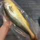 大黄花鱼 4条（0.8-1斤/条） 升级顺丰