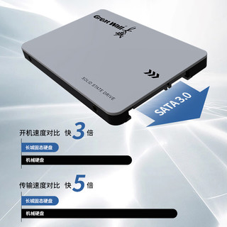 Great Wall 长城 SSD固态硬盘1TB SATA3.0接口