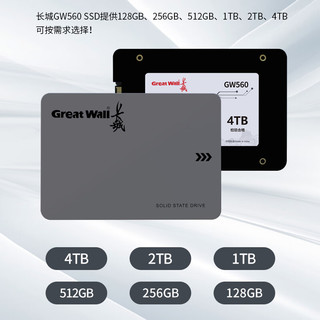 Great Wall 长城 SSD固态硬盘1TB SATA3.0接口