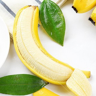 果迎鲜香蕉 新鲜水果 广西小米蕉 小芭蕉 小香蕉 大香蕉 苹果蕉 需催熟 大香蕉3斤