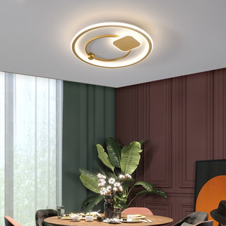 三雄极光 LED吸顶灯智控客厅灯卧室灯 现代简约风大气创意北欧灯饰灯具 智控套餐2