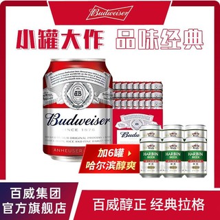 百威啤酒红罐经典啤酒整箱255ml*24听罐装黄啤哈尔滨醇爽330ml*6