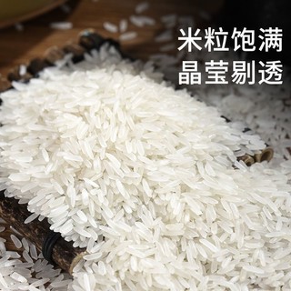 太粮 鲜仔猫牙米精选香稻贡米长颗粒现磨长粒香大米籼米