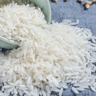 太粮 鲜仔猫牙米精选香稻贡米长颗粒现磨长粒香大米籼米