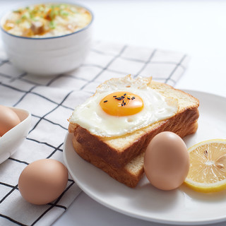 寻鲜鸟 田园居鲜鸡蛋谷物新鲜鸡蛋45g 15枚