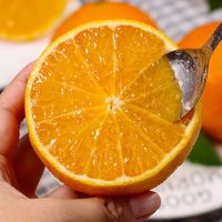 龙觇  夏橙 新鲜橙子 现摘应季时令水果 夏橙9斤中果60-65mm