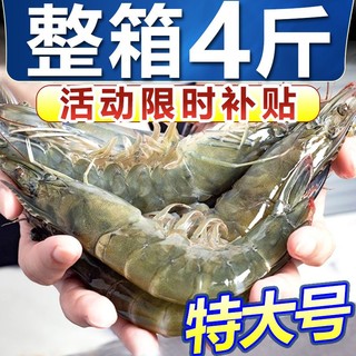 冰鲜部族 黄海大虾 4.2斤 16-18厘米