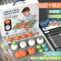 LEAUN 乐昂 ZJRC1001 电子积木 科教电动玩具