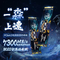 移动端、京东百亿补贴：FANXIANG 梵想 S790C NVMe M.2 固态硬盘 2TB（PCI-E4.0）