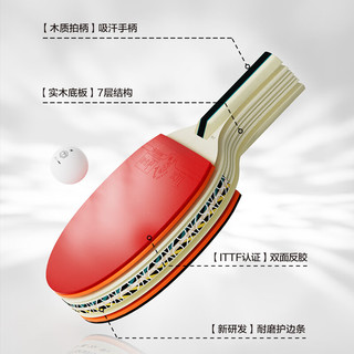 京东京造 雨燕一星乒乓球拍双拍2只装直直对拍训练套装双面反胶1星 直直板