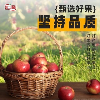 汇源 100%果汁苹果汁2L*1瓶装