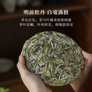 「北路白茶」木白 福鼎白茶白牡丹2021年明前特级原料白茶茶叶饼