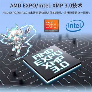 Asgard 阿斯加特 吹雪32g ddr5 6000 6400 6800台式机内存条RGB灯条